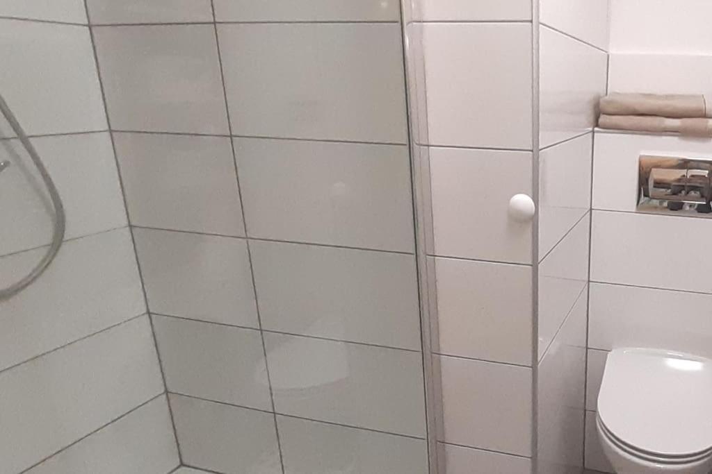 Lemuria Apartament Szkolna Centrum Легница Екстериор снимка